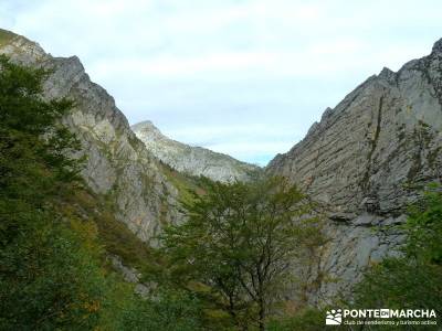 Hayedos Parque Natural de Redes;viajes fin de año castañar del tiemblo camino smith